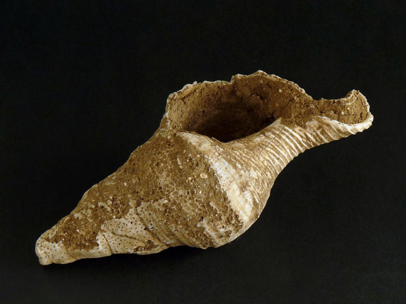 'Carasdelmarquehabitaron', exposición de fotografías y palabras del artista Rosendo López, ve la luz en la sala Vinarte del Hotel Miramar de Arrecife. // CanariasCreativa.com