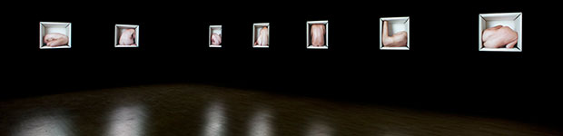 Estadios_introversos, instalación, medidas variables, 2012. Esta compuesta por 9 cajas de luz con fotografias digitales impresas con tintas pigmentadas sobre backlite