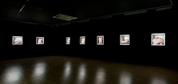 Estadios_introversos, instalación, medidas variables, 2012. Esta compuesta por 9 cajas de luz con fotografias digitales impresas con tintas pigmentadas sobre backlite