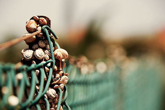 Revelados urbanitas - Alberto Brito // CanariasCreativa.com