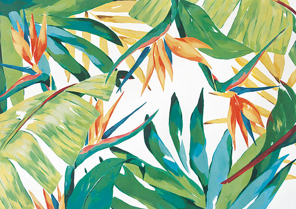 De la flora su colorido... - Elena Ardanaz // CanariasCreativa.com