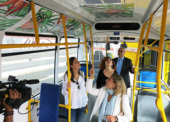 De la flora su colorido... - Elena Ardanaz // CanariasCreativa.com