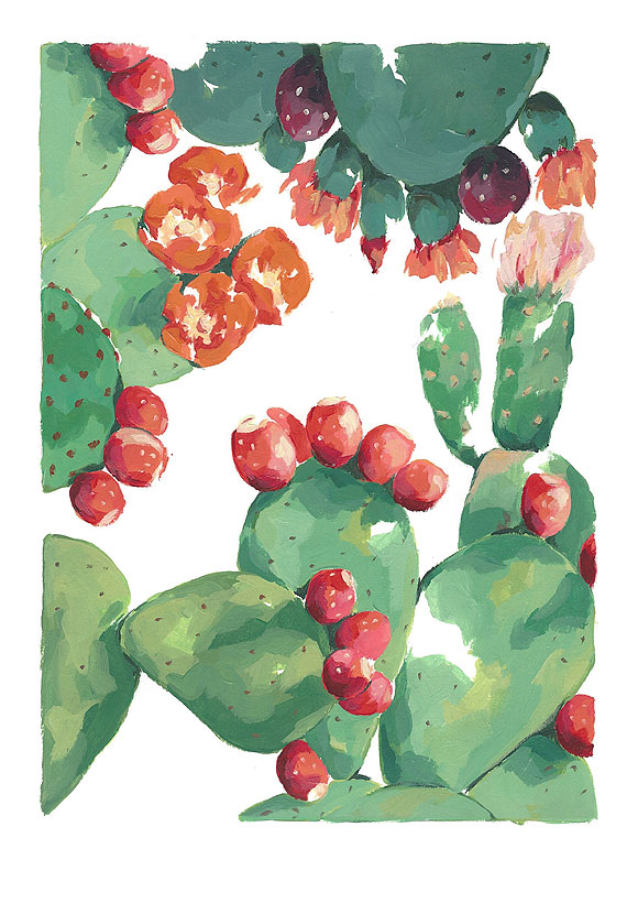 De la flora su colorido... - Elena Ardanaz // CanariasCreativa.com