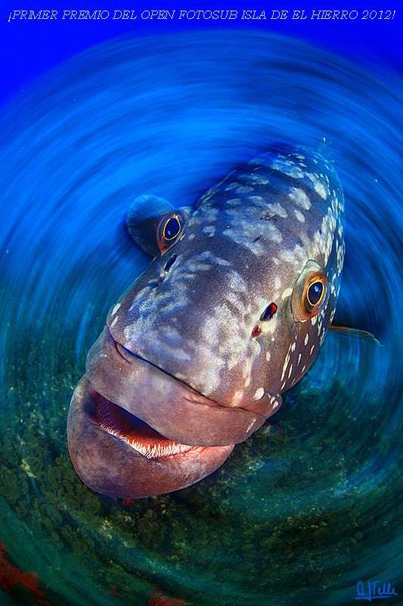 Magia bajo la marea - Arturo J. Telle Thiemann // CanariasCreativa.com