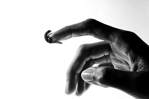 Diafragma a la francesa - Emmanuel Avargués // CanariasCreativa.com