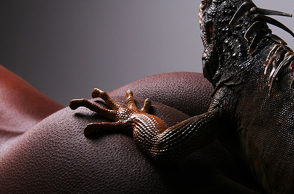 Diafragma a la francesa - Emmanuel Avargués // CanariasCreativa.com