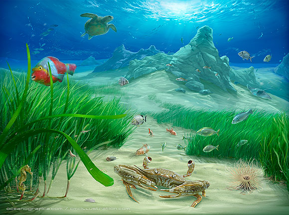 Cristián Melián Cabrera - CMC Illustration // CanariasCreativa.com