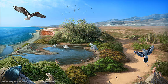 Cristián Melián Cabrera - CMC Illustration // CanariasCreativa.com