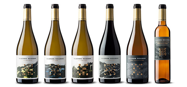 Socarrat a la chicharrera - Dailos Pérez González // CanariasCreativa.com