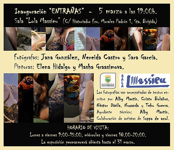 «Entrañas: canciones de la artista Bebe fotografiadas y pintadas» sale a la luz este jueves 5 de marzo en la Sala Lola Massieu (Santa Brígida)