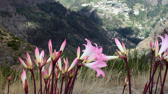 Mañana jueves 22 de septiembre a las 20.00h se presenta la segunda edición del Festival Internacional de Videoarte “Entre Islas” en Gran Canaria Espacio Digital. // CanariasCreativa.com