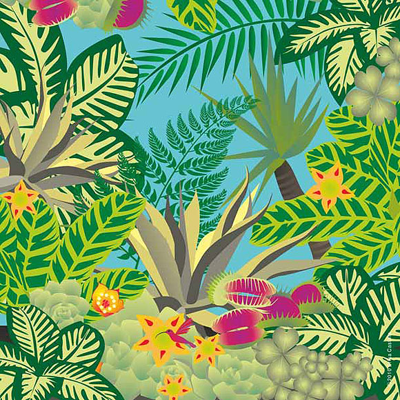 Mundo turquesa / Erika Castilla // CanariasCreativa.com