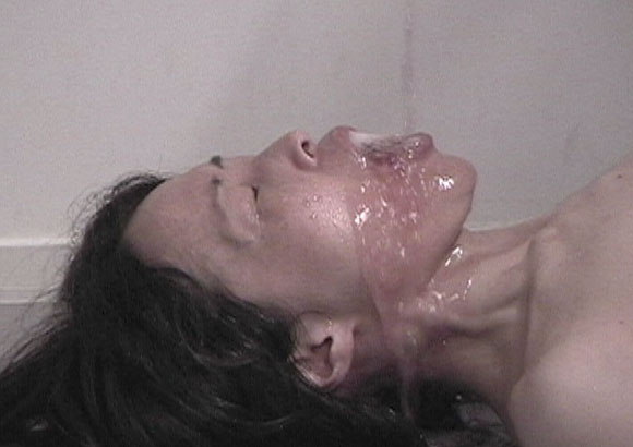 El ciclo de videoperfomance 