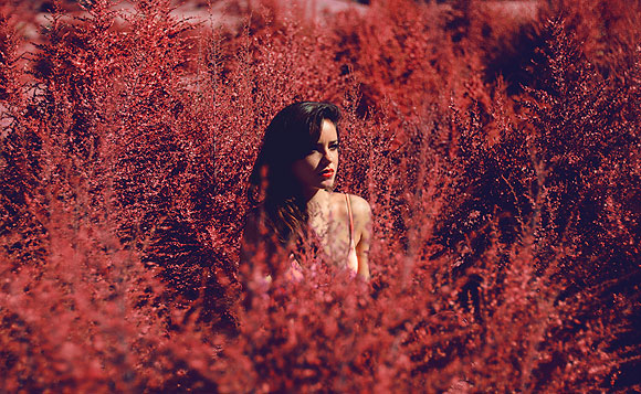 Joaquín Burgueño - Fotografía // CanariasCreativa.com