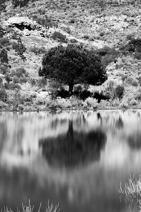 Kay Machín // CanariasCreativa.com