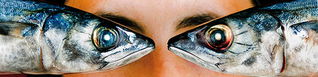 Premieres españolas, películas de Goya y una gran diversidad de historias en el XVI Festival Internacional de Cine de Lanzarote // CanariasCreativa.com