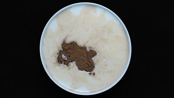 “Lo digerido”: nueva exposición en Espacio Dörffi // CanariasCreativa.com