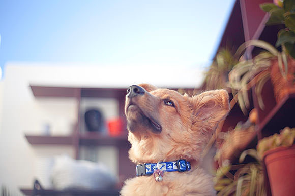 Marlon Loreck - fotógrafo // CanariasCreativa.com