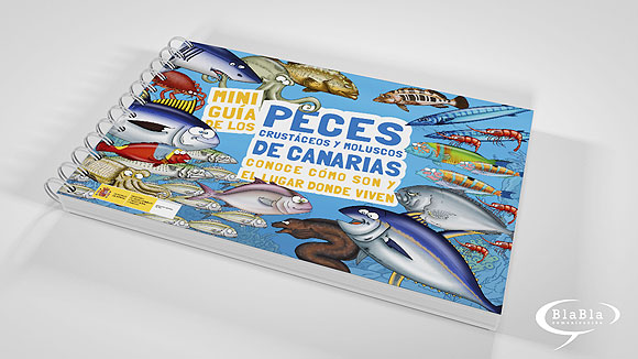 Trazando la vida en vector - Miguel A. Mena // CanariasCreativa.com