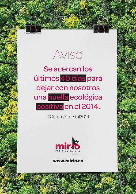El Cabildo de Tenerife y Mirlo Positive Nature piden la colaboración ciudadana para plantar este otoño 500 árboles y retener 139 Toneladas de CO2 // CanariasCreativa.com
