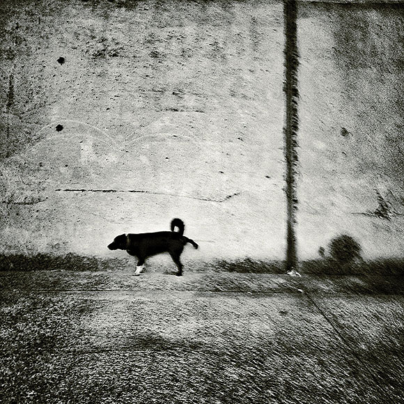 Pablo Valido // CanariasCreativa.com