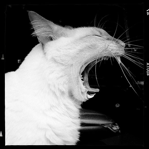 Pablo Valido // CanariasCreativa.com