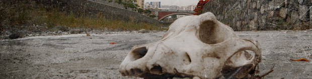 Ricardo Marichal // CanariasCreativa.com