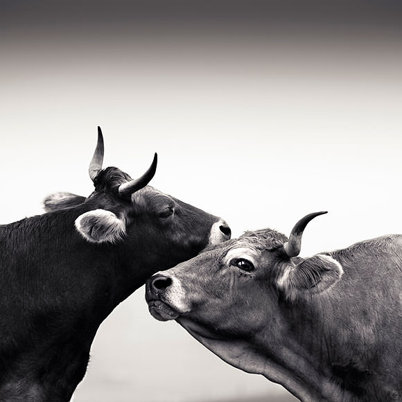 Sara Yun // CanariasCreativa.com