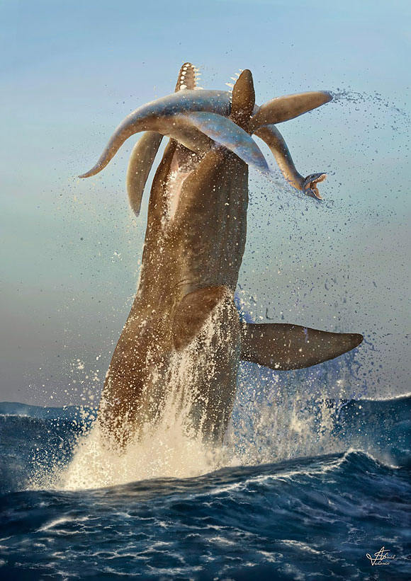 Ilustración científica - Saúl Velasco // CanariasCreativa.com