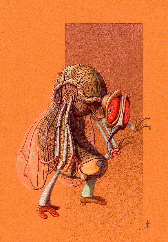 Ilustración científica - Saúl Velasco // CanariasCreativa.com