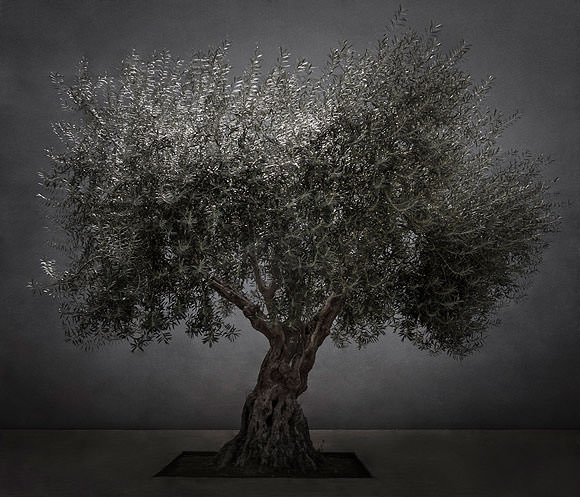 Tomás Correa // Miedo al aire // CanariasCreativa.com