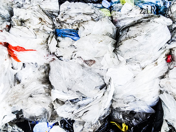 Irene Sanfiel ZiREjA // CanariasCreativa.com